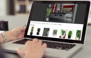 Bing : une nouvelle fonction de recherche d’image