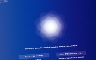Zoom sur la plate-forme Cybermalveillance.gouv.fr