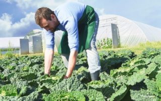 Un guide pour évaluer la pénibilité en agriculture