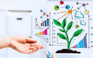 Plus-value de cession de titres d’une jeune PME