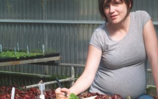 Cotisation Amexa des exploitants agricoles