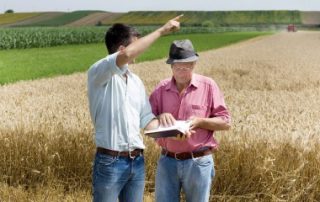 Reprise de terres agricoles pour les exploiter dans le cadre d’une société