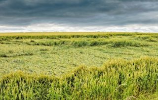 Assurance récolte des agriculteurs : pas de baisse du seuil de déclenchement !