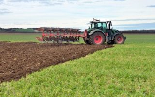 Démembrement de propriété et droit de préemption de la Safer