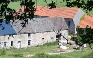 Reprise par le bailleur de terres agricoles louées : gare au contenu du congé !