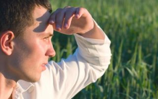 Vers une modification de la fiscalité agricole