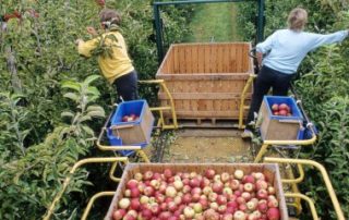Le contrat de travail saisonnier agricole requiert une durée minimale !