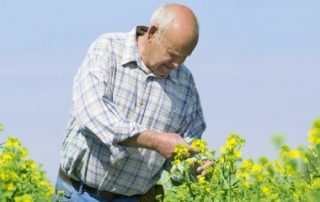 Salariés agricoles : des cotisations de retraite complémentaire plus élevées en 2019