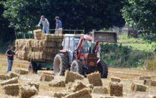 Entreprises agricoles : une réduction des cotisations patronales plus généreuse