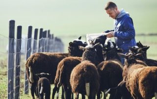 Exploitants agricoles : la prime d’activité revalorisée