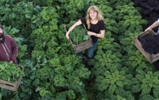 Employeurs agricoles : exonération liée au travail occasionnel ou réduction générale ?