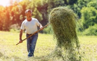 Exploitants agricoles : montant des indemnités journalières