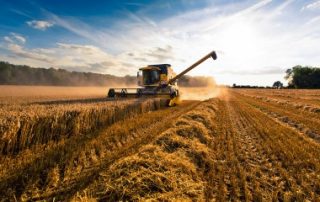 Bail rural : quand les usages agricoles s’appliquent