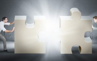 Allègement de la procédure des fusions de sociétés
