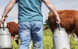 Mise à disposition de parcelles : gare à la requalification en bail rural !