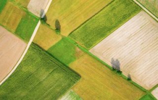Le marché des terres agricoles en 2018