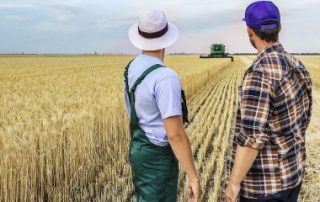 L’obligation de cotiser au régime des non-salariés agricoles