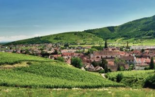 De nouvelles exonérations d’impôts locaux pour les commerces de proximité