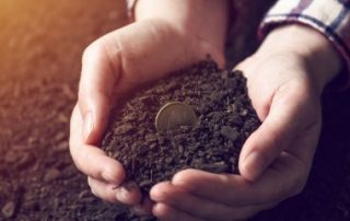 Versement des aides Pac 2019 : prenez date !