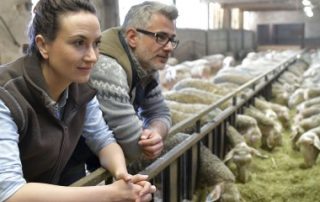 Conjoint travaillant sur l’exploitation agricole : déclaration obligatoire !