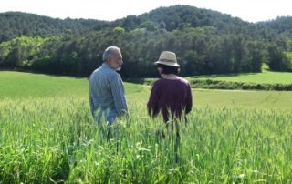 Décès d’un exploitant agricole et option pour une assiette forfaitaire de cotisations