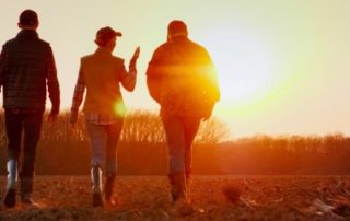 Exploitants agricoles : option pour l’assiette annuelle des cotisations sociales