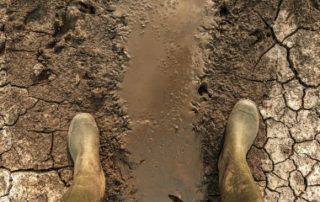 Des mesures de soutien pour les agriculteurs victimes de la sécheresse