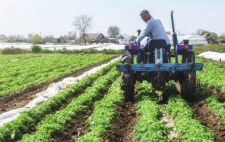Comment régler vos dettes de cotisations auprès de la MSA ?
