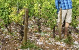 De nouvelles mesures fiscales pour les agriculteurs