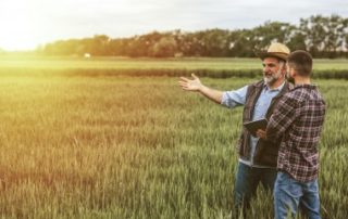 Mise à disposition d’une société de terres agricoles louées : gare à l’information du bailleur !