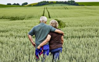 Transmission du bail rural au conjoint de l’exploitant décédé : à quelles conditions ?