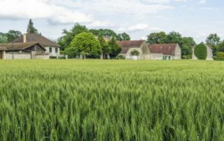 Exonération des biens ruraux loués par bail à long terme : du nouveau ?