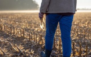 Fermages impayés par un enfant à un parent : à rapporter à la succession ?