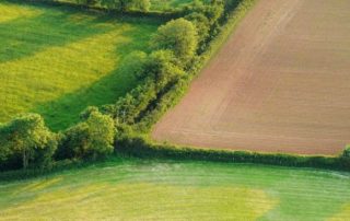 Le volet agricole de la planification écologique