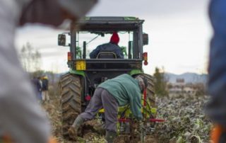 Exploitants agricoles : montant de la cotisation Atexa pour 2024