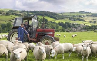 Exploitants agricoles : fin de l’option fiscale pour la moyenne triennale