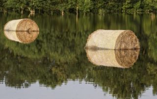 Exploitants agricoles : déclarez votre interlocuteur agréé pour les pertes de récolte !