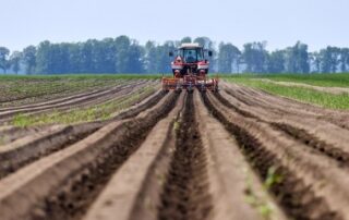 Mise à disposition d’une société de parcelles agricoles louées : il faut les exploiter !