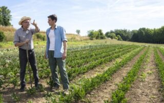 Céder son bail rural à un neveu après l’avoir adopté