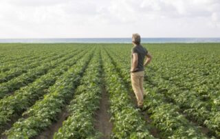 Violation du droit de préemption de l’exploitant agricole : quel délai pour contester ?