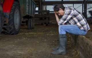 Exploitants agricoles : le dispositif de prêts structurels garantis par l’État est en place