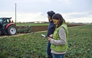 Acquisition de parcelles agricoles par substitution aux droits d’une Safer : du nouveau !