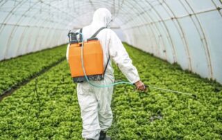 Exploitants agricoles : prolongation d’un an des certiphytos arrivant à échéance