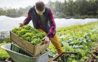 Prorogation de deux crédits d’impôt spécifiques aux exploitants agricoles