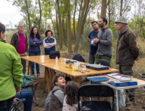 Compte d’engagement citoyen : les bénévoles ont jusqu’à fin juin pour déclarer leurs activités