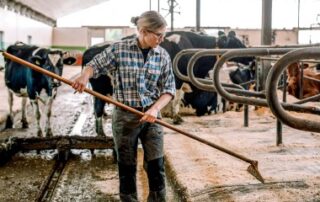 Option des exploitants agricoles pour une assiette annuelle de leurs cotisations sociales