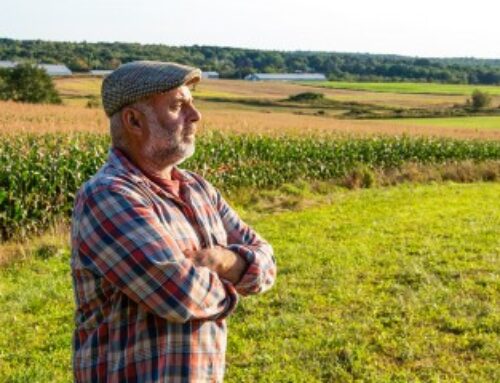 Décès d’un exploitant agricole : option pour l’assiette forfaitaire de cotisations