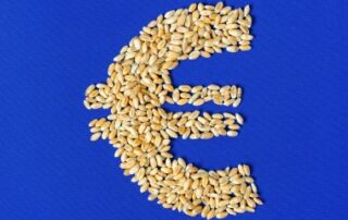 Agriculture : augmentation de plusieurs aides de la Pac au titre de 2024