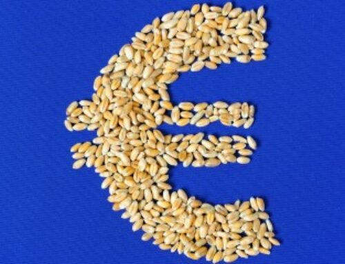 Agriculture : augmentation de plusieurs aides de la Pac au titre de 2024