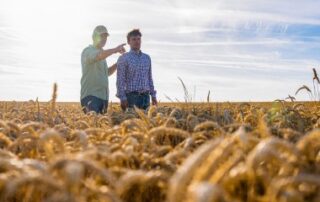 À quel moment peut-on insérer une clause de reprise sexennale dans un bail rural ?